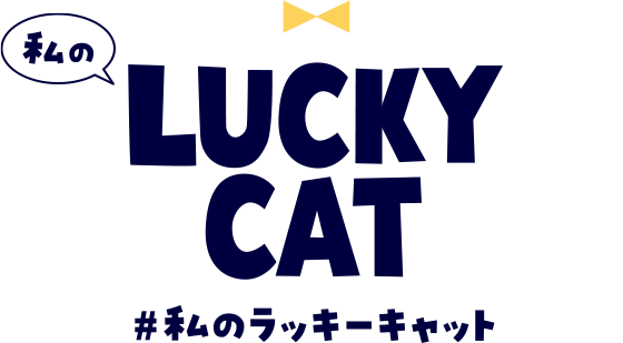 私のLUCKY CAT #私のラッキーキャット